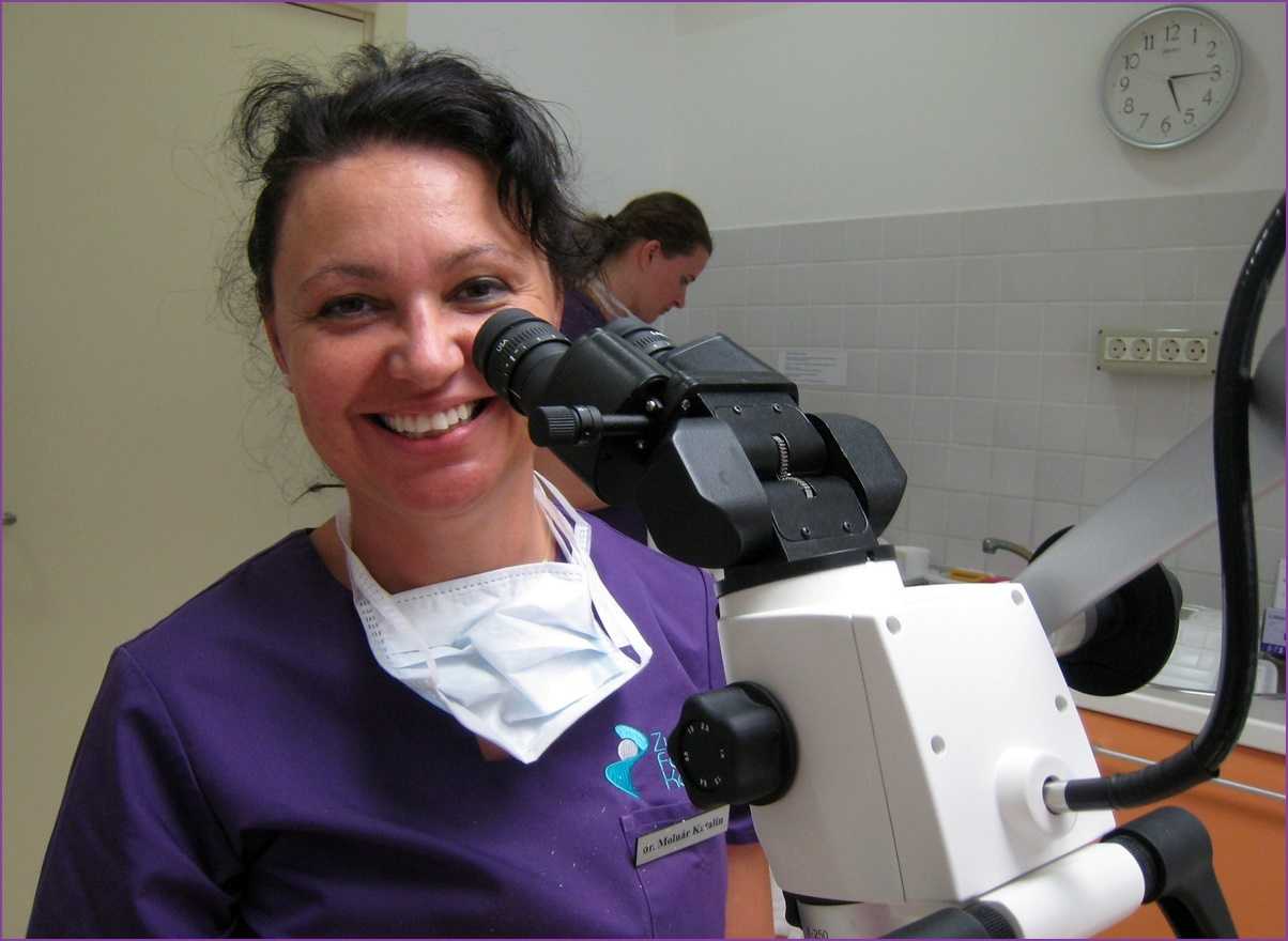 dr-molnar-katalin-mosoly.jpg#asset:31231