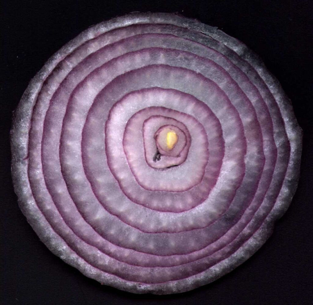 A kellemetlen lehelet okai