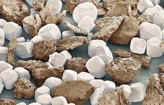 mikroszkóp_alatt-sóbors.jpg#asset:35896
