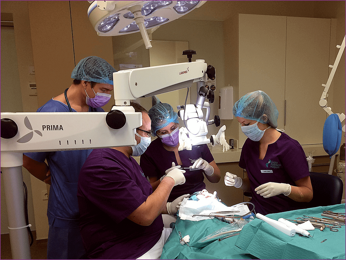 szajsebesz-endodontus-osszehangolt-munka